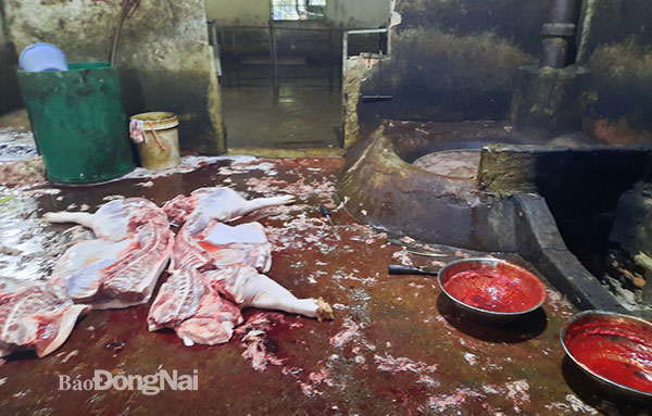 Xử phạt 14 triệu đồng đối với 2 cơ sở giết mổ "heo lậu"