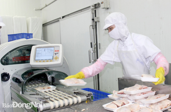 Chế biến gà xuất khẩu tại một công ty vốn đầu tư nước ngoài ở TP.Biên Hòa