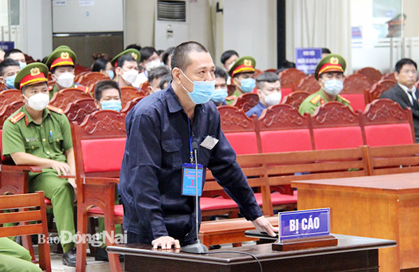 Bị cáo Đào Ngọc Viễn