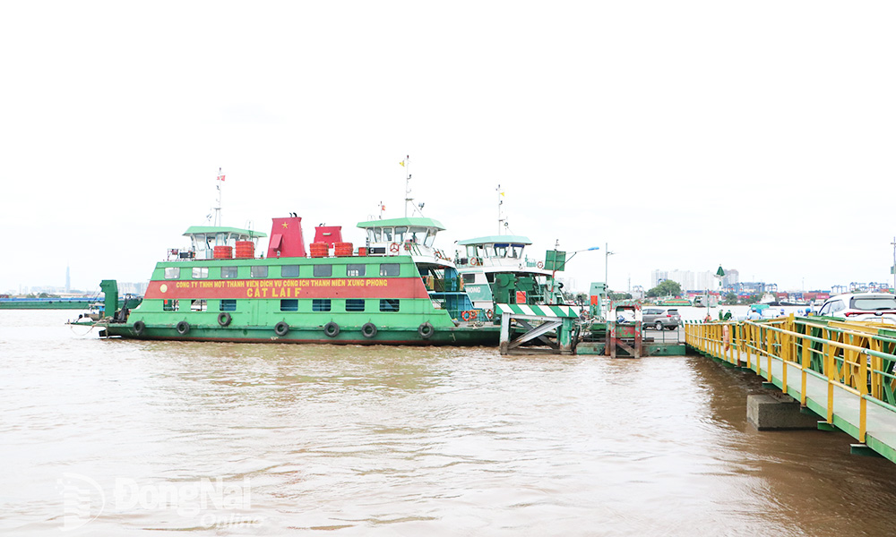 Xây cầu Cát Lái phục vụ kết nối giao thông cho sân bay Long Thành