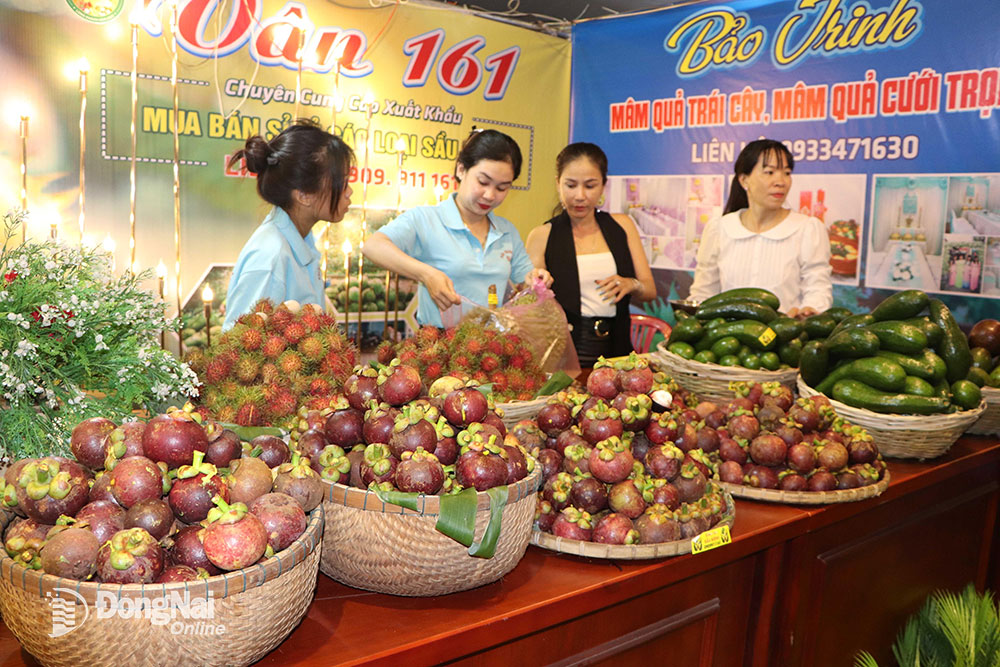 Không gian Lễ hội trái cây diễn ra tại Long Khánh năm 2022