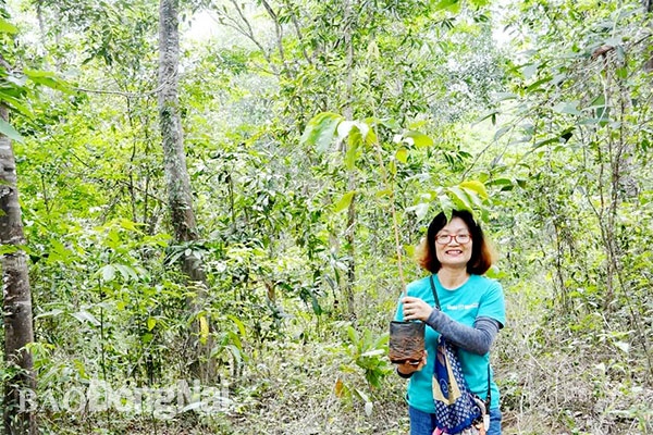 Trồng rừng để nâng cao nhận thức bảo vệ thiên nhiên - Báo Đồng Nai điện tử