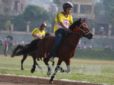 Đua ngựa Bắc Hà. Ảnh minh họa. (Nguồn: TTXVN)